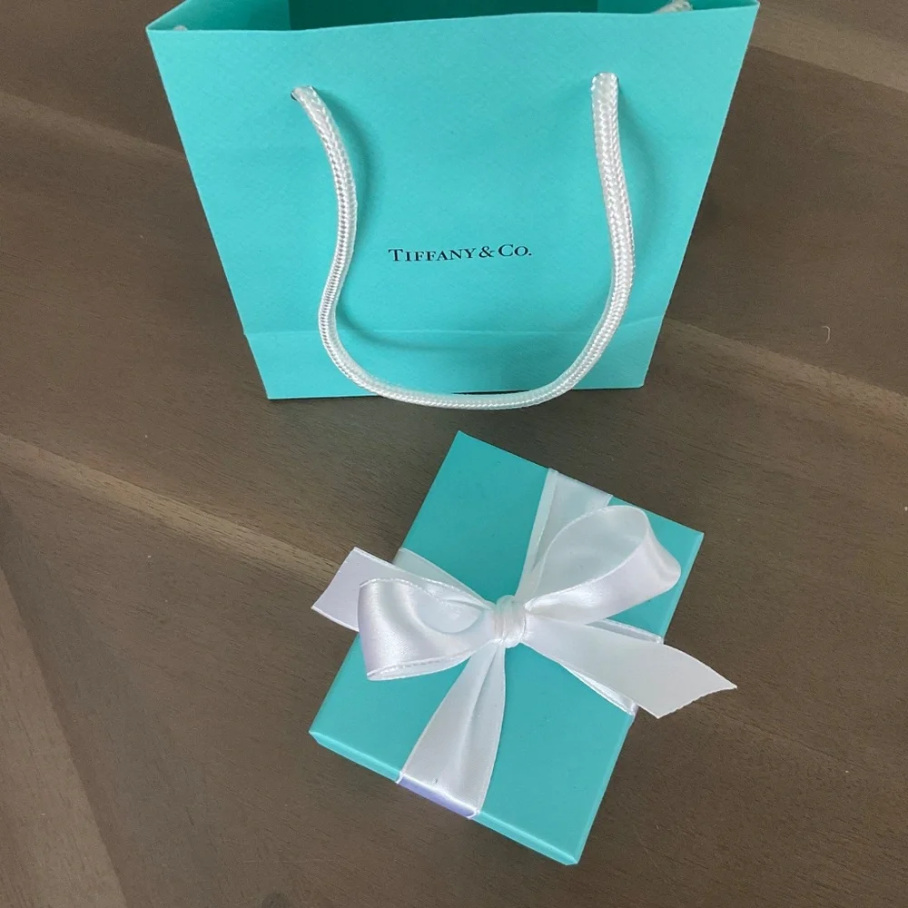 Tiffany Classic Money Clip
